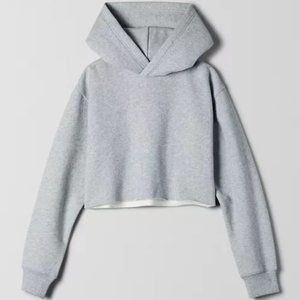 ARITZIA TNA Cropped Hoodie